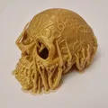 Celtic skull hide – Hang trú ẩn hình sọ Celtic cho thú cưng - Thumbnail 5