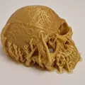 Celtic skull hide – Hang trú ẩn hình sọ Celtic cho thú cưng - Thumbnail 6
