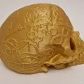 Celtic skull hide – Hang trú ẩn hình sọ Celtic cho thú cưng - Thumbnail 7