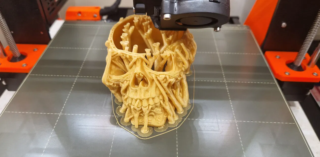 Celtic skull hide – Hang trú ẩn hình sọ Celtic cho thú cưng - Image 10