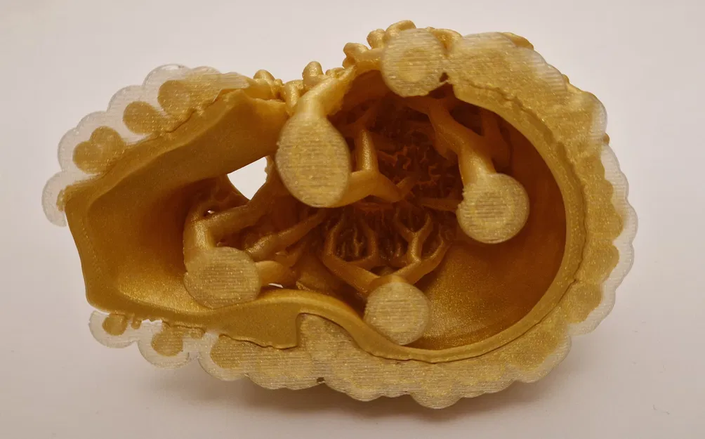 Celtic skull hide – Hang trú ẩn hình sọ Celtic cho thú cưng - Image 11