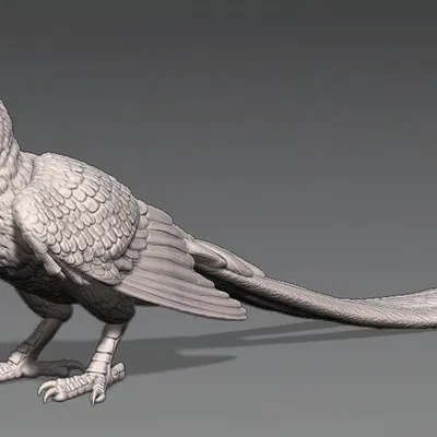 Tượng Confuciusornis (Figurine) tỉ lệ 1:1