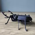Mô hình Bọ Cánh Cứng Sừng Hươu lắp ráp (Stag Beetle Buildable Animal Figure) - Thumbnail 6