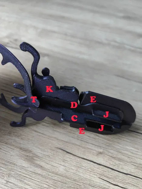 Mô hình Bọ Cánh Cứng Sừng Hươu lắp ráp (Stag Beetle Buildable Animal Figure) - Image 12