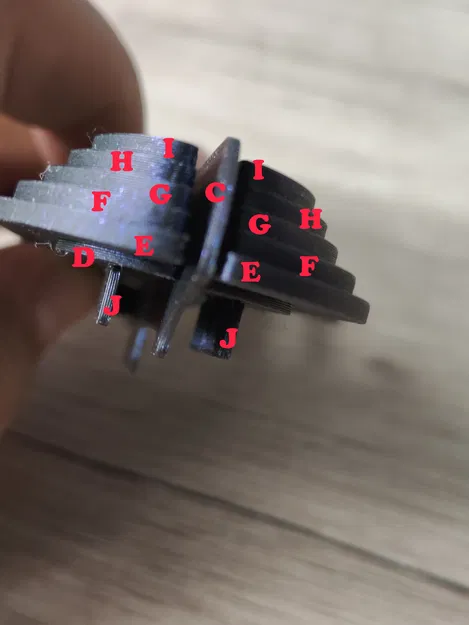 Mô hình Bọ Cánh Cứng Sừng Hươu lắp ráp (Stag Beetle Buildable Animal Figure) - Image 13