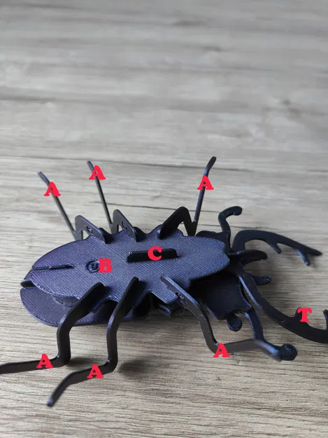 Mô hình Bọ Cánh Cứng Sừng Hươu lắp ráp (Stag Beetle Buildable Animal Figure) - Image 15
