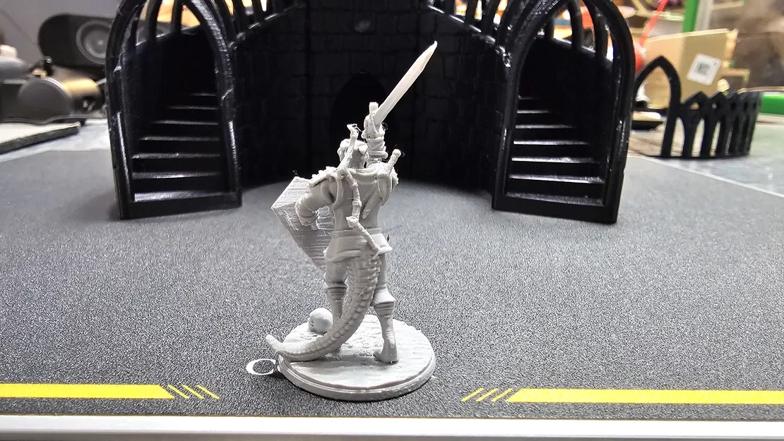 Chiến binh Dragonborn (nam) - Dragonborn Male Fighter - Image 3