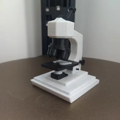 Kính hiển vi (microscope / microscope)