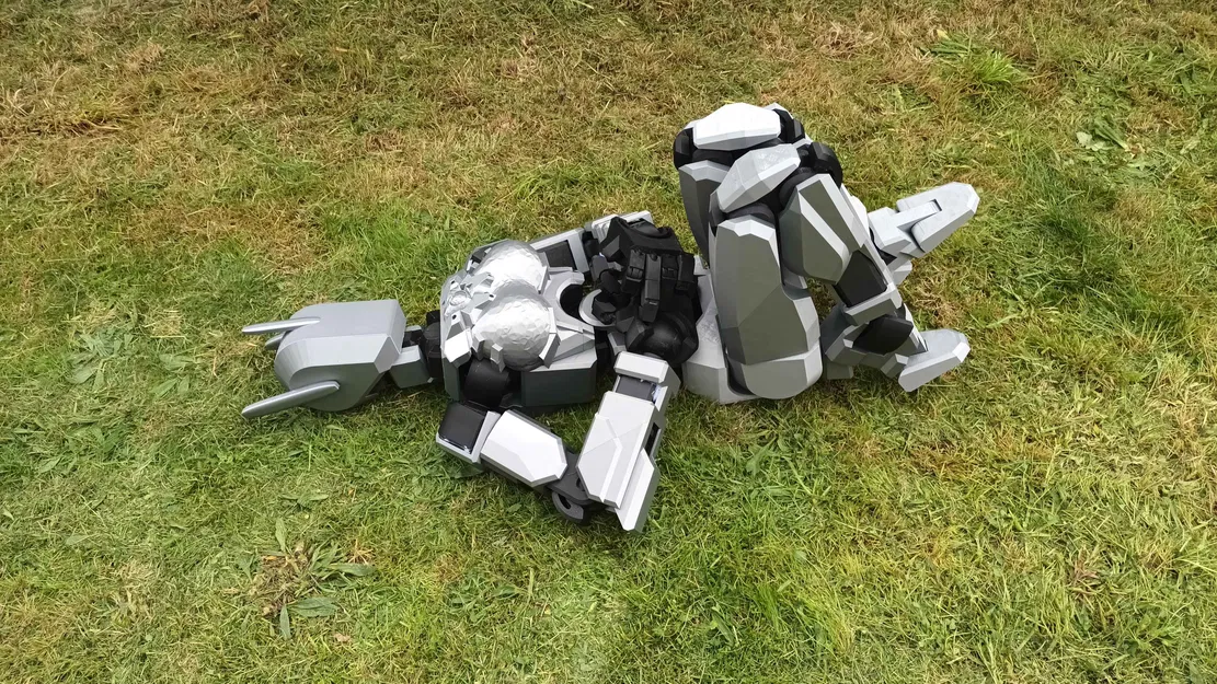 FULL SIZE Dummy 13 ~1200% (tỉ lệ 1200%) - Image 11