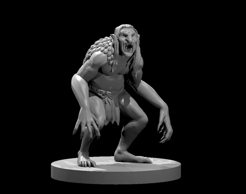 Shellycoat - Image 1