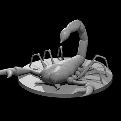 Bọ Cạp trong Tome of Beasts (Scorpions of Tome of Beasts)