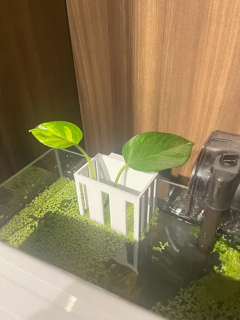 Giá đỡ cây thủy sinh Aquarium Plant Holder - Image 1