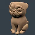 Pancake the Pug! – Chú chó Pug mắt tròn siêu dễ thương - Thumbnail 8