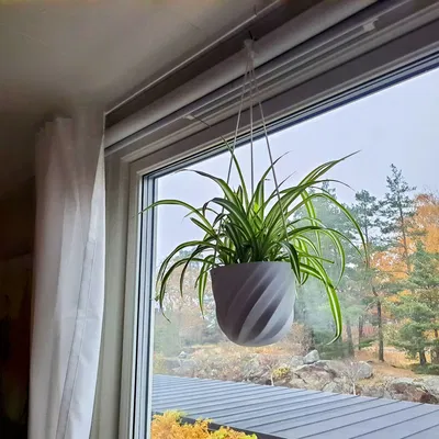 Chậu cây xoắn ốc 3D treo trang trí độc đáo