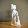 Bộ Xương Mèo Phong Cách (Stylized Cat Skeleton) - Thumbnail 2