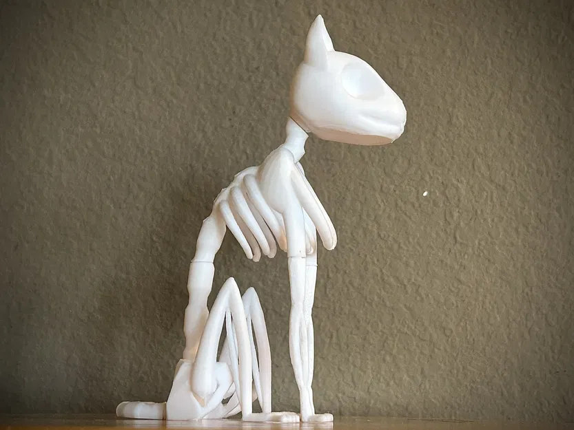 Bộ Xương Mèo Phong Cách (Stylized Cat Skeleton) - Image 4