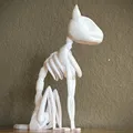Bộ Xương Mèo Phong Cách (Stylized Cat Skeleton) - Thumbnail 4