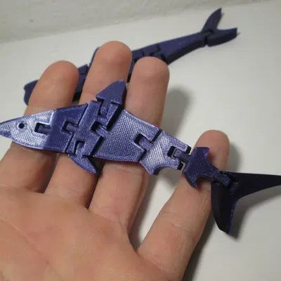 Flexible Sharks (Cá mập dẻo)