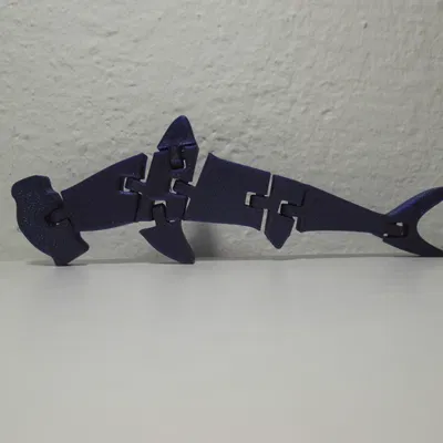 Flexible Sharks (Cá mập dẻo)