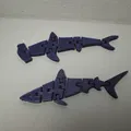 Flexible Sharks (Cá mập dẻo) - Thumbnail 5
