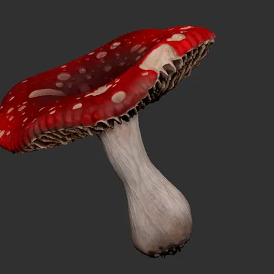 Mô hình Nấm Miniature 3D - Trang trí Game và Diorama