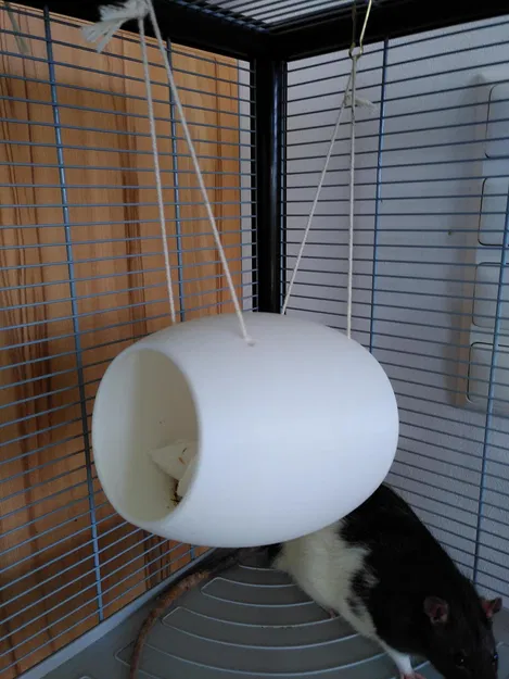 Nhà chuột dạng trái dừa (Rat House / Rat Coconut) cho loài gặm nhấm - Image 1