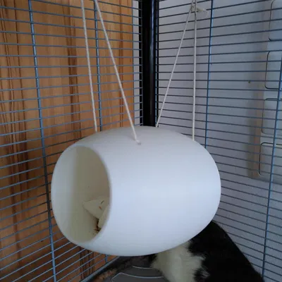 Nhà chuột dạng trái dừa (Rat House / Rat Coconut) cho loài gặm nhấm