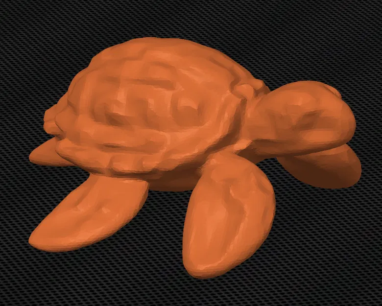 Rùa biển (Sea Turtle) - Image 1