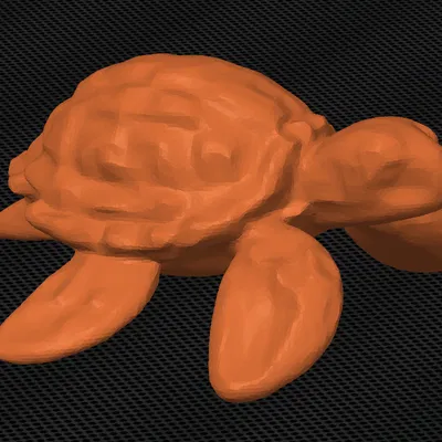 Rùa biển (Sea Turtle)