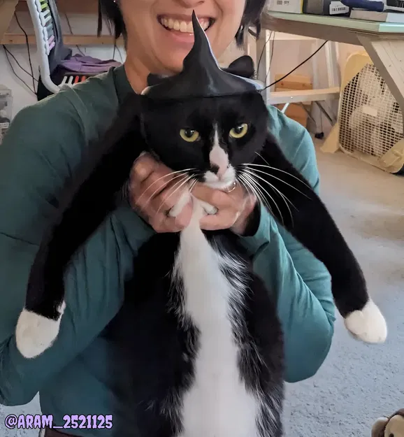 Mũ Phù Thủy Cho Mèo - Phụ Kiện Hóa Trang Halloween Đáng Yêu - Image 2