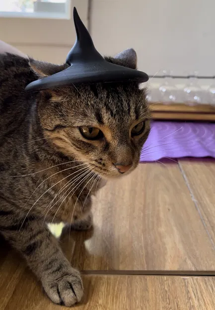 Mũ Phù Thủy Cho Mèo - Phụ Kiện Hóa Trang Halloween Đáng Yêu - Image 3