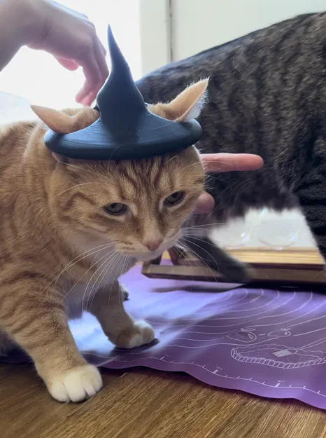 Mũ Phù Thủy Cho Mèo - Phụ Kiện Hóa Trang Halloween Đáng Yêu - Image 4