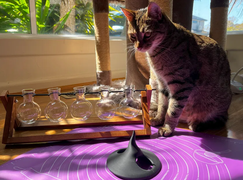 Mũ Phù Thủy Cho Mèo - Phụ Kiện Hóa Trang Halloween Đáng Yêu - Image 8