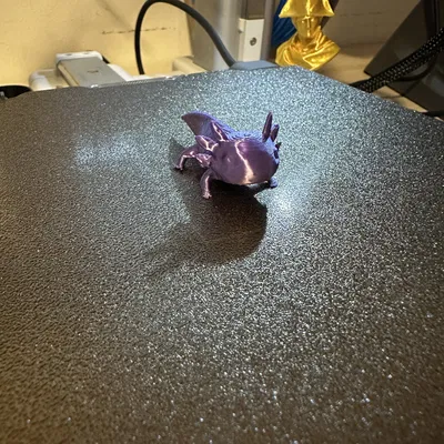 Axolotl Mini: In Nhanh, Dễ Thương và Chi Tiết