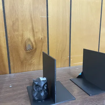 Kệ Sách Cú Mèo Low Poly Đa Sắc Màu