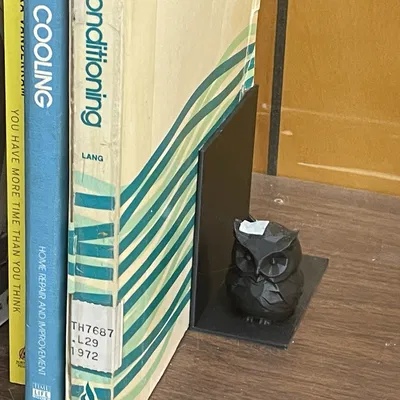 Kệ Sách Cú Mèo Low Poly Đa Sắc Màu