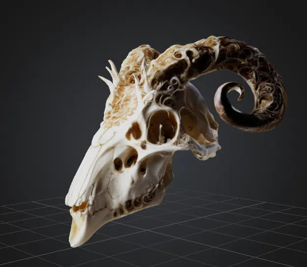 Đầu Cừu Ma Quái - Mô Hình 3D Trang Trí Độc Lạ - Image 2