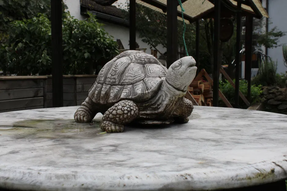 Mô Hình Rùa 3D Trang Trí Độc Đáo - Tái Hiện Tượng Đá - Image 1