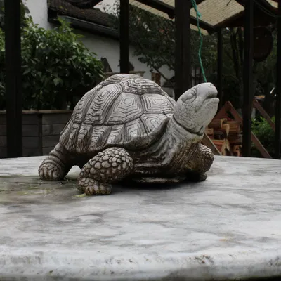 Mô Hình Rùa 3D Trang Trí Độc Đáo - Tái Hiện Tượng Đá