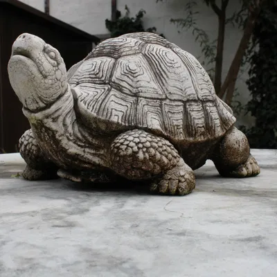 Mô Hình Rùa 3D Trang Trí Độc Đáo - Tái Hiện Tượng Đá