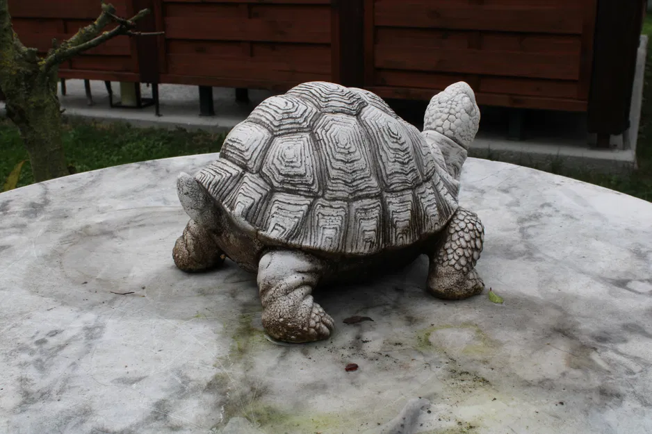 Mô Hình Rùa 3D Trang Trí Độc Đáo - Tái Hiện Tượng Đá - Image 4