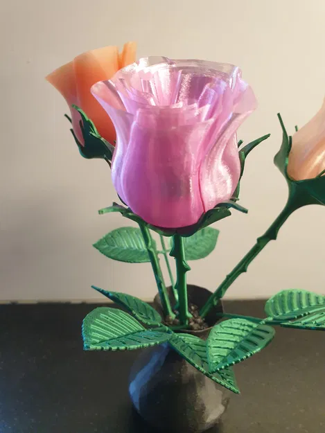 Lá tự nhiên uốn tạo hình sáng tạo, hợp với hoa hồng và nhiều loại hoa khác - Image 4