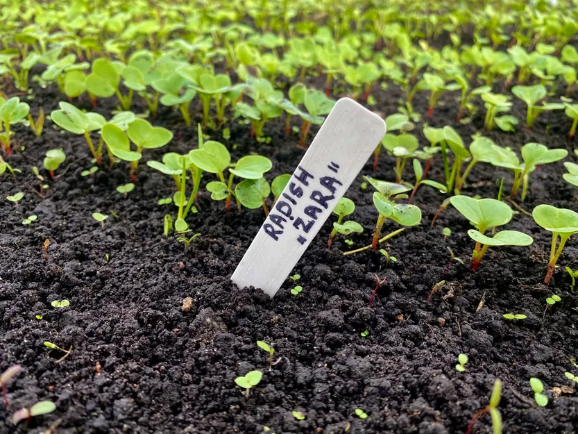 Cọc/Nhãn Cắm Cây Làm Vườn (Gardening markers) - Image 1