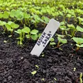Cọc/Nhãn Cắm Cây Làm Vườn (Gardening markers) - Thumbnail 1