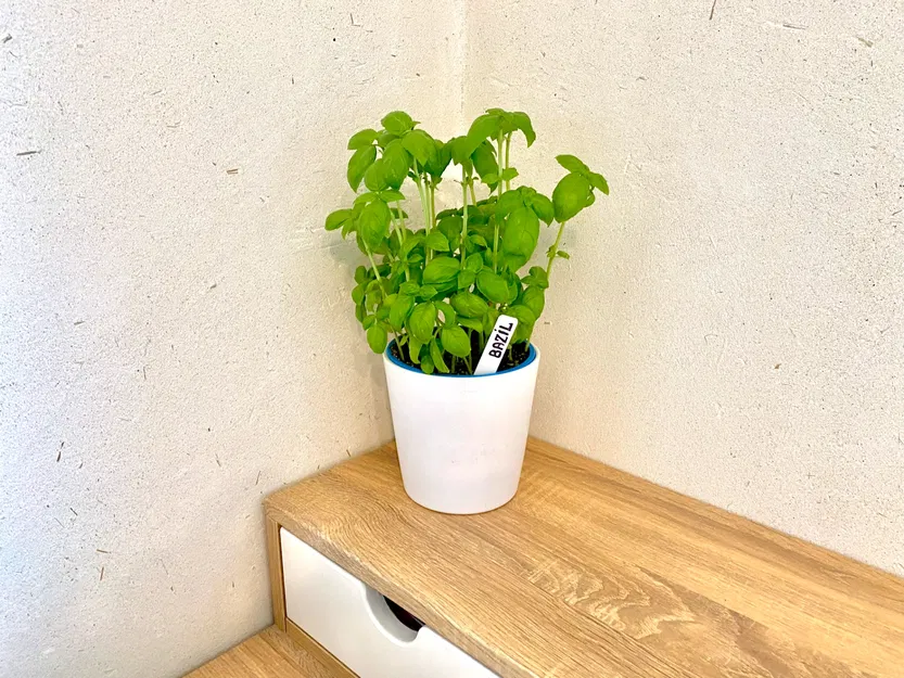 Cọc/Nhãn Cắm Cây Làm Vườn (Gardening markers) - Image 2