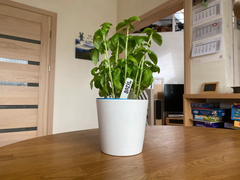 Cọc/Nhãn Cắm Cây Làm Vườn (Gardening markers) - Image 4