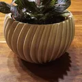 Blumentopf / Plant Pot Wave (Chậu cây dạng sóng) - Thumbnail 1