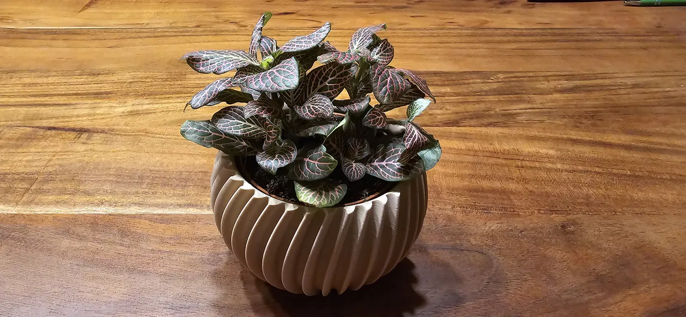 Blumentopf / Plant Pot Wave (Chậu cây dạng sóng) - Image 2