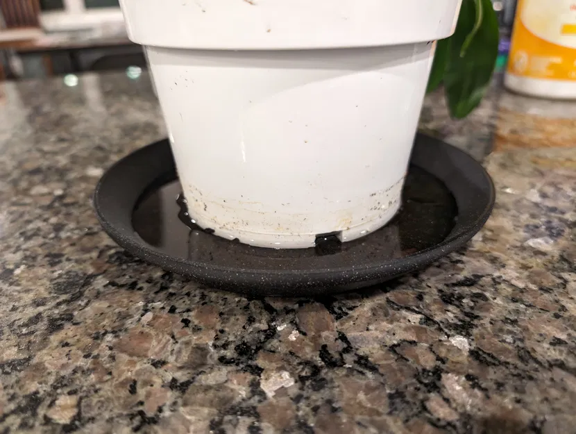 Dĩa lót chậu cây (Plant plate) - Image 2