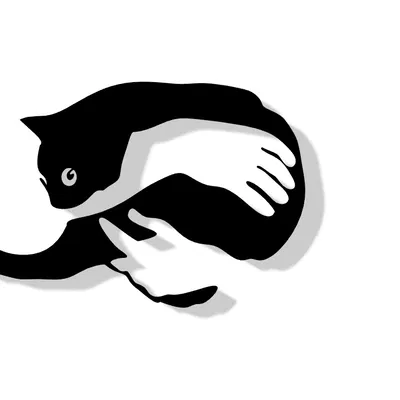 Tranh Treo Tường "Mèo Con Trong Vòng Tay" - Trang Trí Nhà Độc Đáo